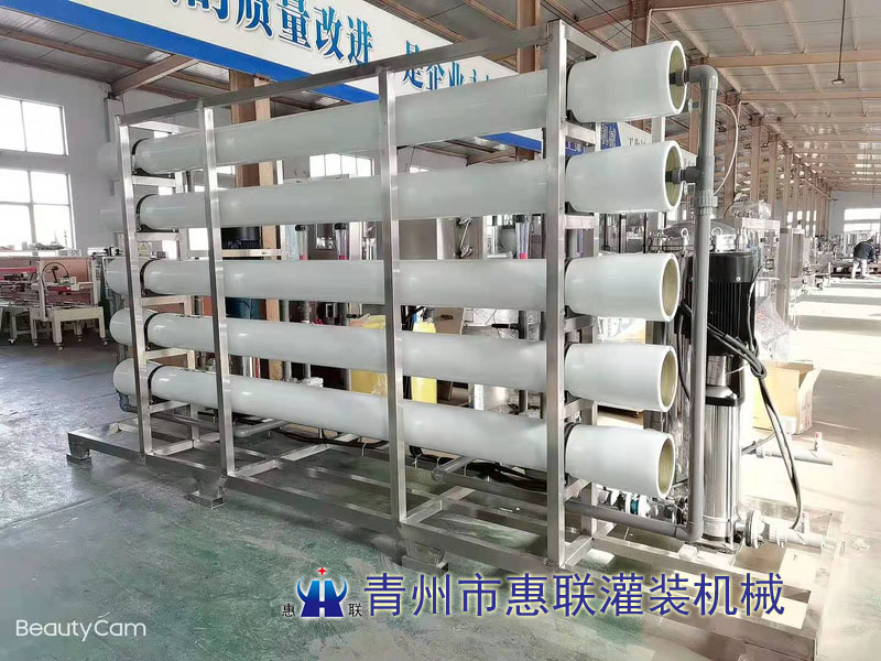 6噸雙級水處理設備